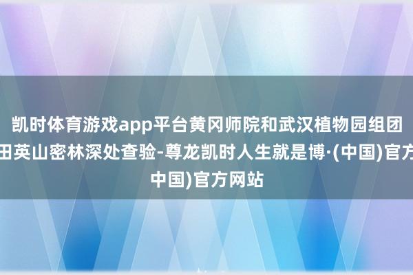 凯时体育游戏app平台黄冈师院和武汉植物园组团在罗田英山密林深处查验-尊龙凯时人生就是博·(中国)官方网站