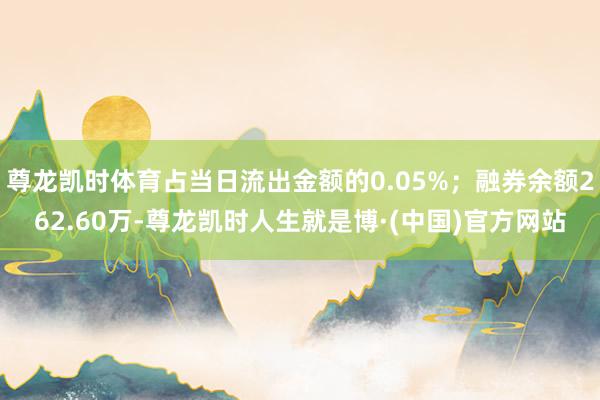 尊龙凯时体育占当日流出金额的0.05%;融券余额262.60万-尊龙凯时人生就是博·(中国)官方网站