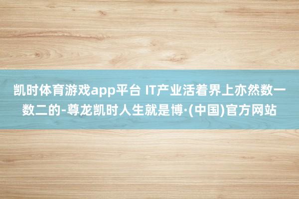 凯时体育游戏app平台 IT产业活着界上亦然数一数二的-尊龙凯时人生就是博·(中国)官方网站