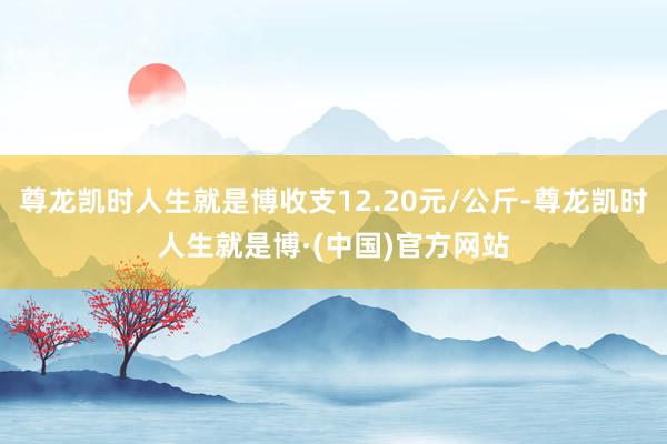 尊龙凯时人生就是博收支12.20元/公斤-尊龙凯时人生就是博·(中国)官方网站