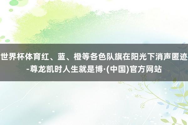 世界杯体育红、蓝、橙等各色队旗在阳光下消声匿迹-尊龙凯时人生就是博·(中国)官方网站