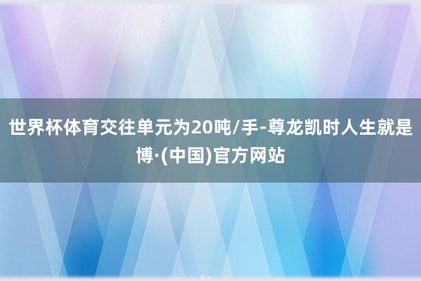 世界杯体育交往单元为20吨/手-尊龙凯时人生就是博·(中国)官方网站