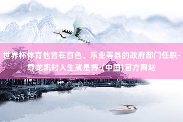 世界杯体育他曾在百色、乐业等县的政府部门任职-尊龙凯时人生就是博·(中国)官方网站