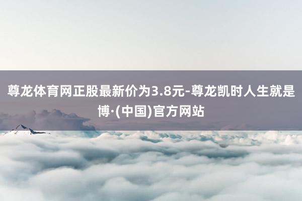 尊龙体育网正股最新价为3.8元-尊龙凯时人生就是博·(中国)官方网站
