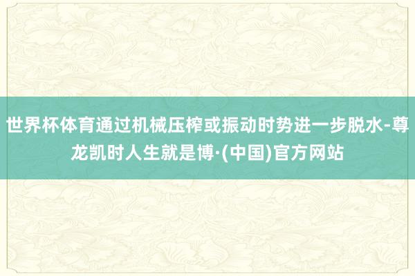 世界杯体育通过机械压榨或振动时势进一步脱水-尊龙凯时人生就是博·(中国)官方网站