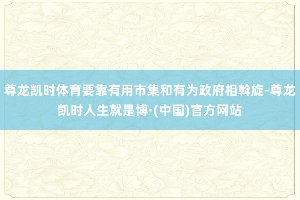 尊龙凯时体育要靠有用市集和有为政府相斡旋-尊龙凯时人生就是博·(中国)官方网站