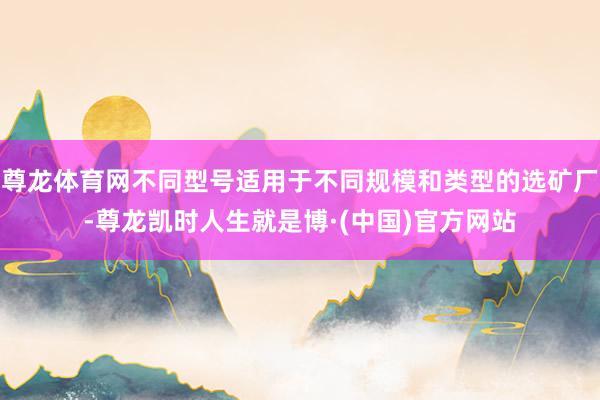 尊龙体育网不同型号适用于不同规模和类型的选矿厂-尊龙凯时人生就是博·(中国)官方网站