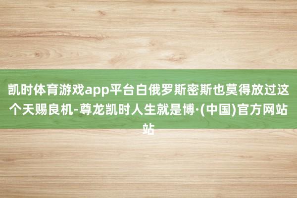 凯时体育游戏app平台白俄罗斯密斯也莫得放过这个天赐良机-尊龙凯时人生就是博·(中国)官方网站