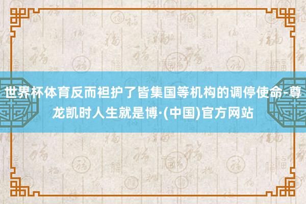 世界杯体育反而袒护了皆集国等机构的调停使命-尊龙凯时人生就是博·(中国)官方网站