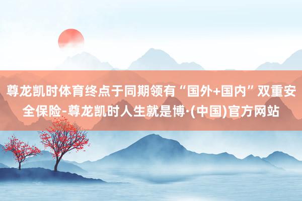 尊龙凯时体育终点于同期领有“国外+国内”双重安全保险-尊龙凯时人生就是博·(中国)官方网站